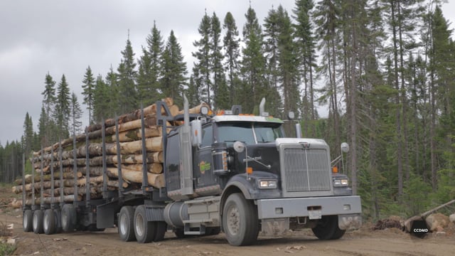 Capsule 10 – Transport des bois et mesurage après transport sans pesage